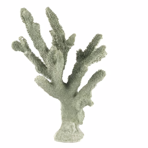 YEŞİL MERCAN 25x36 CM