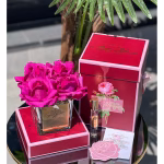 4 GÜLLÜ ODA KOKUSU BORDO ESKİTME