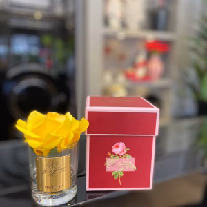 TEK GÜLLÜ ODA KOKUSU SARI ESKİTME