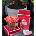 4 GÜLLÜ ODA KOKUSU SOMON ESKİTME