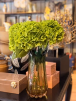 YEŞİL ISLAK ORTANCA (ADET)