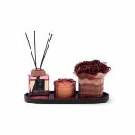 GENTLEMANLY BORDO  KOKU SETİ